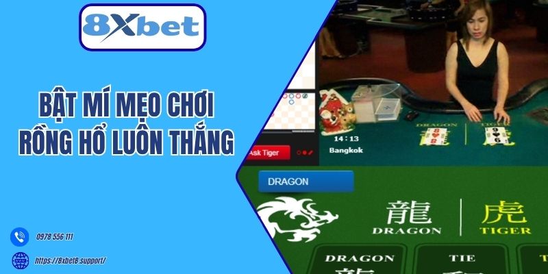 Bật mí mẹo chơi Rồng Hổ luôn thắng 