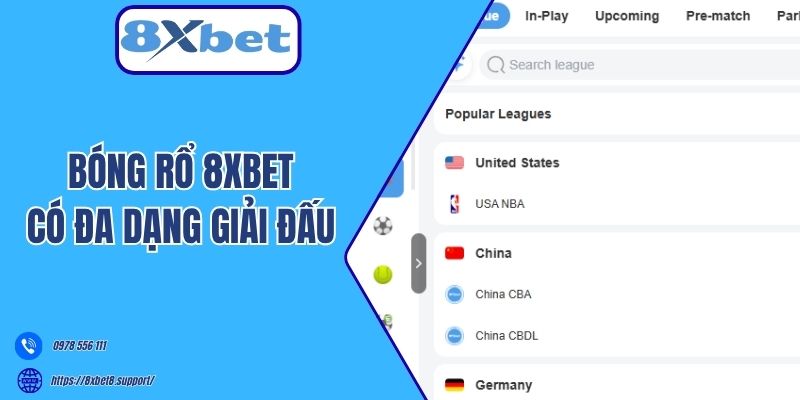 Bóng rổ 8xbet có đa dạng giải đấu