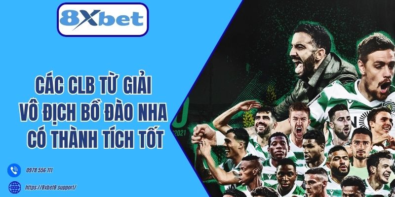 Các CLB từ giải vô địch Bồ Đào Nha có thành tích tốt