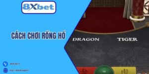 Cách chơi Rồng Hổ
