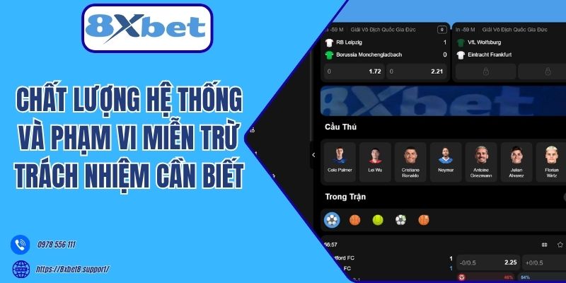 Chất lượng hệ thống và phạm vi miễn trừ trách nhiệm cần biết