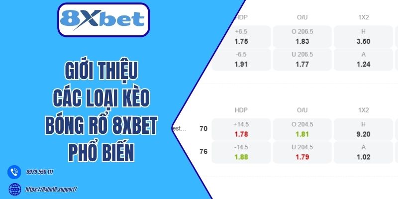 Giới thiệu các loại kèo bóng rổ 8xbet phổ biến