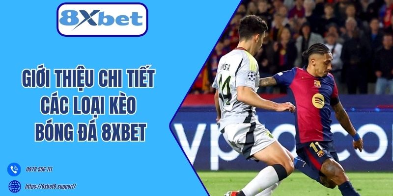 Giới thiệu chi tiết các loại kèo bóng đá 8xbet