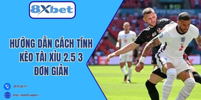 Hướng dẫn cách tính kèo Tài Xỉu 2.5 3 đơn giản 