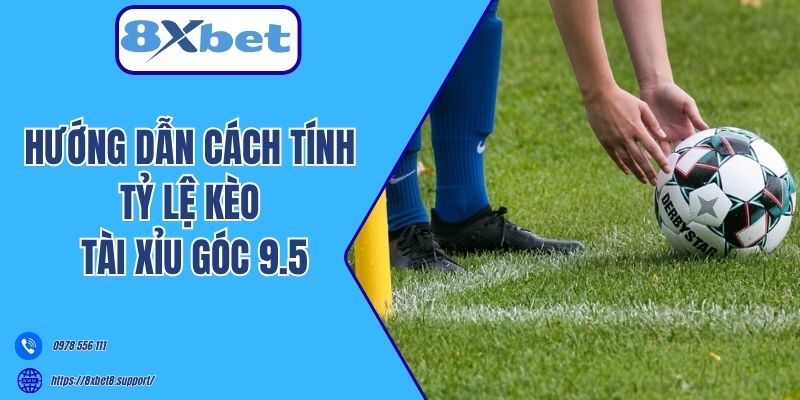 Hướng dẫn cách tính tỷ lệ kèo Tài Xỉu góc 9.5