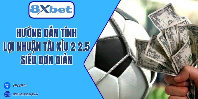 Hướng dẫn tính lợi nhuận Tài Xỉu 2 2.5 siêu đơn giản 
