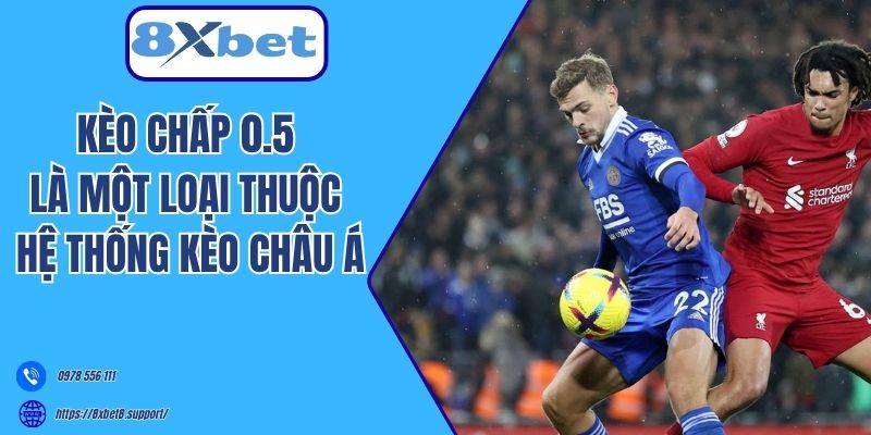 Kèo chấp 0.5 là một loại thuộc hệ thống kèo châu Á