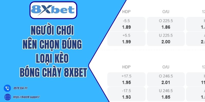 Người chơi nên chọn đúng loại kèo bóng chày 8xbet