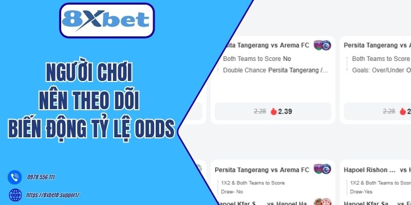 Người chơi nên theo dõi biến động tỷ lệ Odds