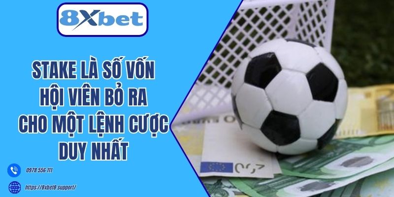 Stake là số vốn hội viên bỏ ra cho một lệnh cược duy nhất 