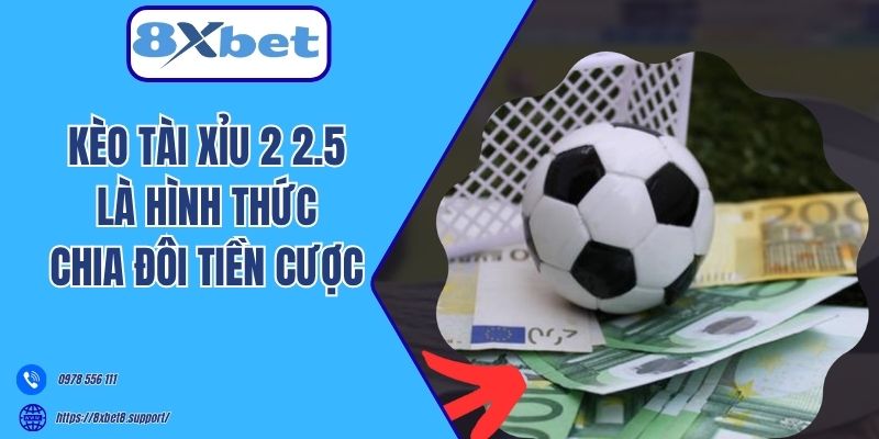 Kèo Tài Xỉu 2 2.5 là hình thức chia đôi tiền cược 