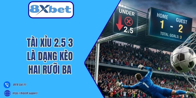 Tài xỉu 2.5 3 là dạng kèo hai rưỡi ba 