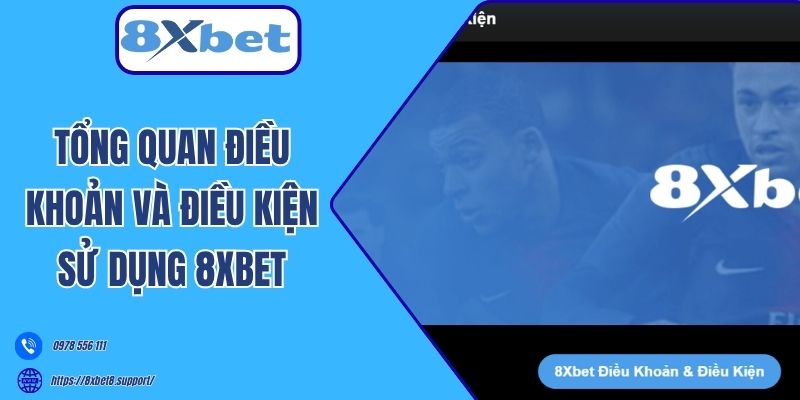 Tổng quan điều khoản và điều kiện sử dụng 8xbet